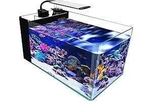 15 Gallon Saltwater Aquarium Kit with LED Light, Protein Skimmer, and Filter Media