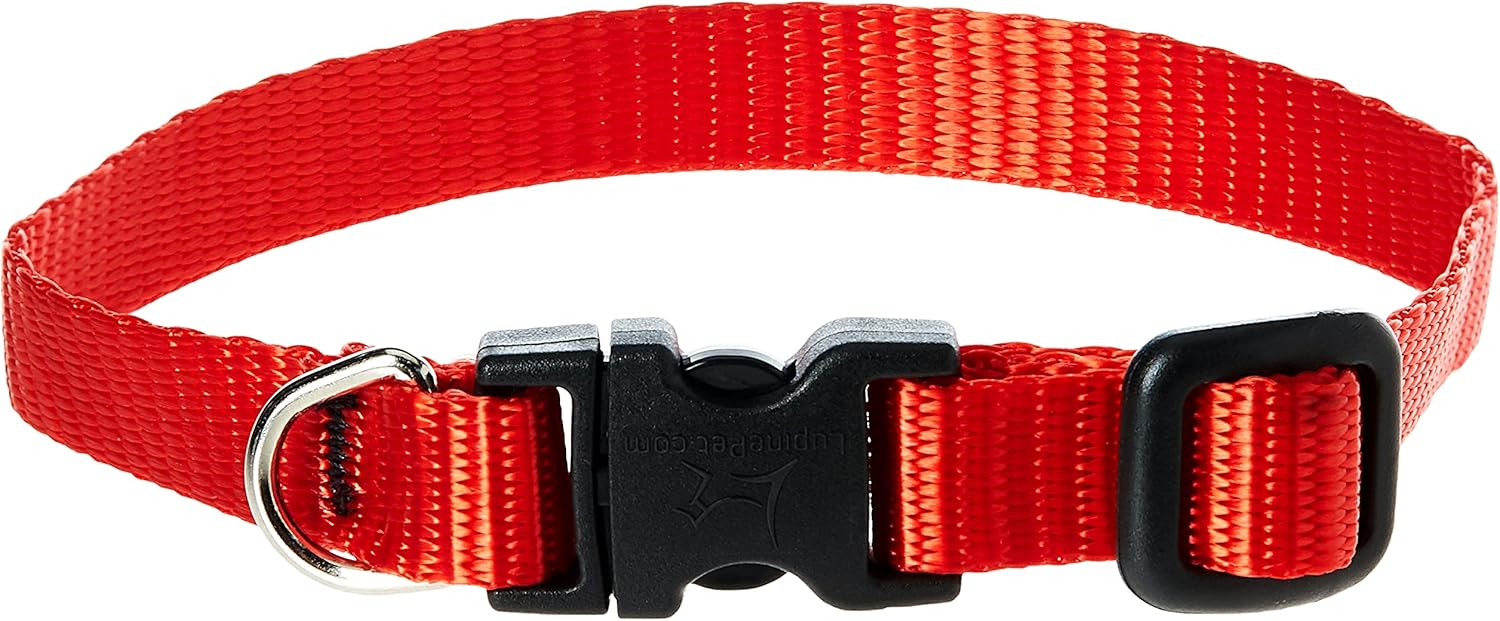 adjustable dog collar
