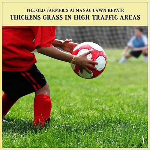 Miniatura 5 de The Old Farmer's Almanac Reparación de césped - Mezcla de semillas de césped y compost prémium (1 libra - cubre hasta 100 pies cuadrados)