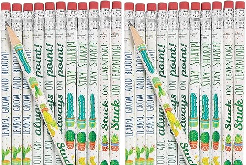 Lápices de cactus 48 piezas Juego de recuerdos de fiesta