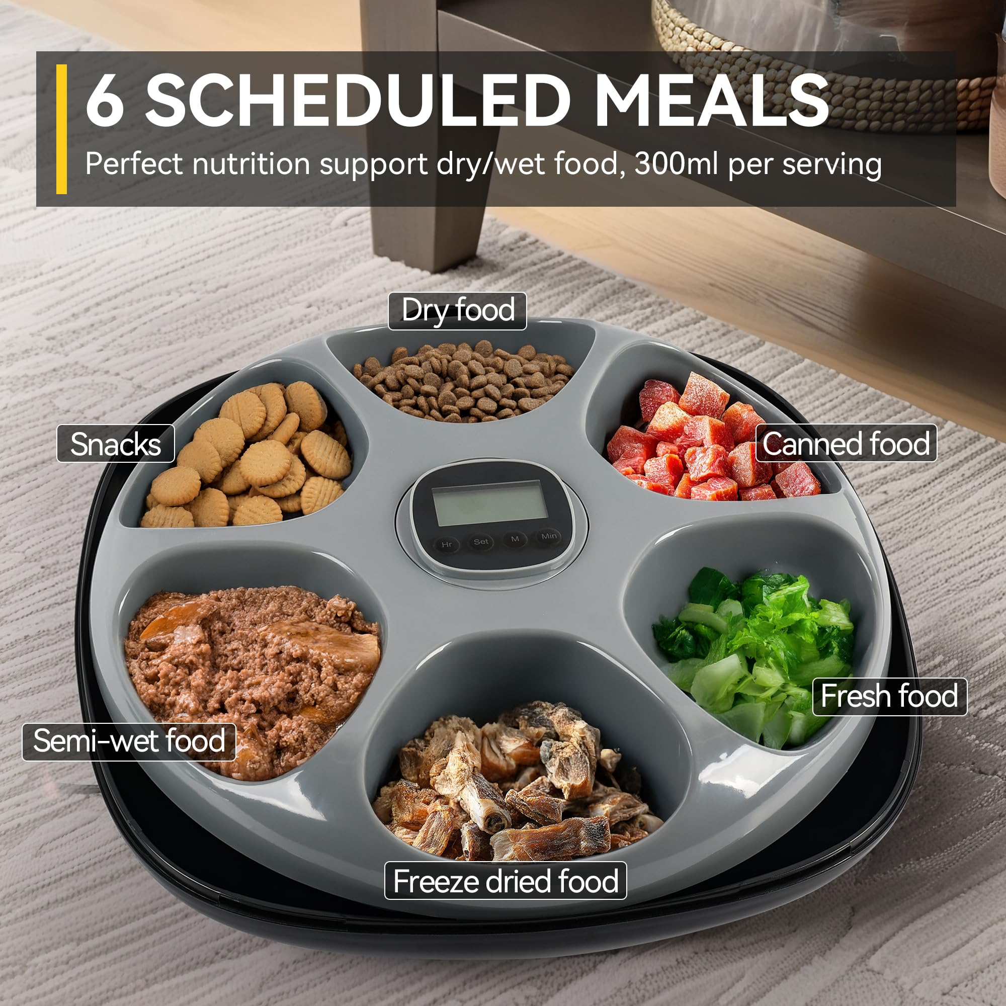 ALL FOR PAWS Distributeur Automatique de Nourriture sans Fil pour Chat 6 Repas,Accepte Nourriture Humide & Sèche,avec 2 Sachets de Glace,Rechargeable,Minuterie Programmable