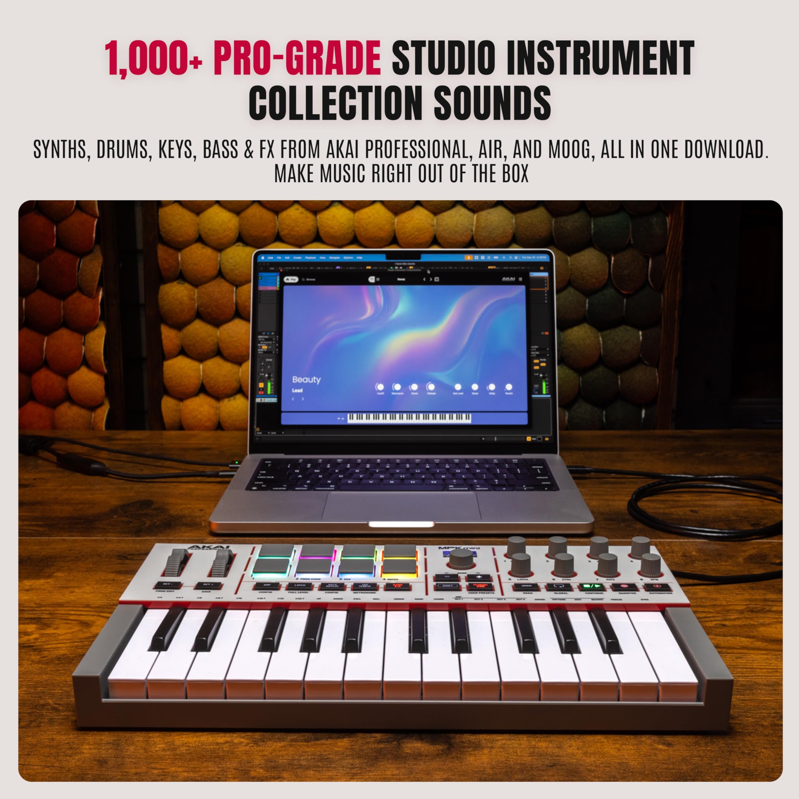 Akai Professional MPK Mini IV USB-C MIDI Keyboard Controller for Beginners and Producers - MPC Drum Pads, 360° Knobs, Pitch and Mod Wheels, Production Software, Native Instruments Sound Package,: Black