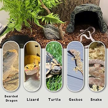 HIDEOUT DAC National Geographic おまけ付 HIDEOUT DAC National Geographic おまけ付 HIDEOUT DAC National