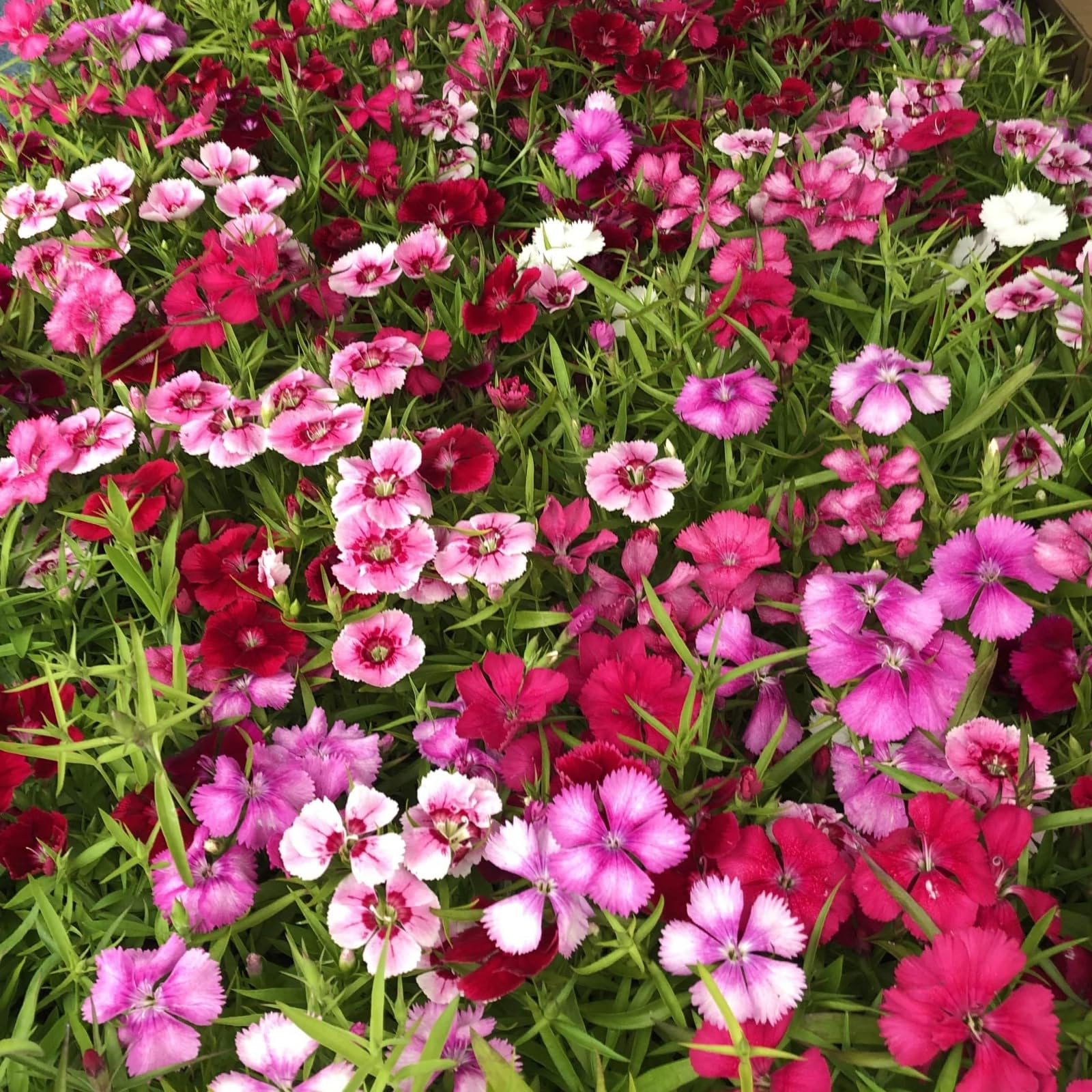 View 6