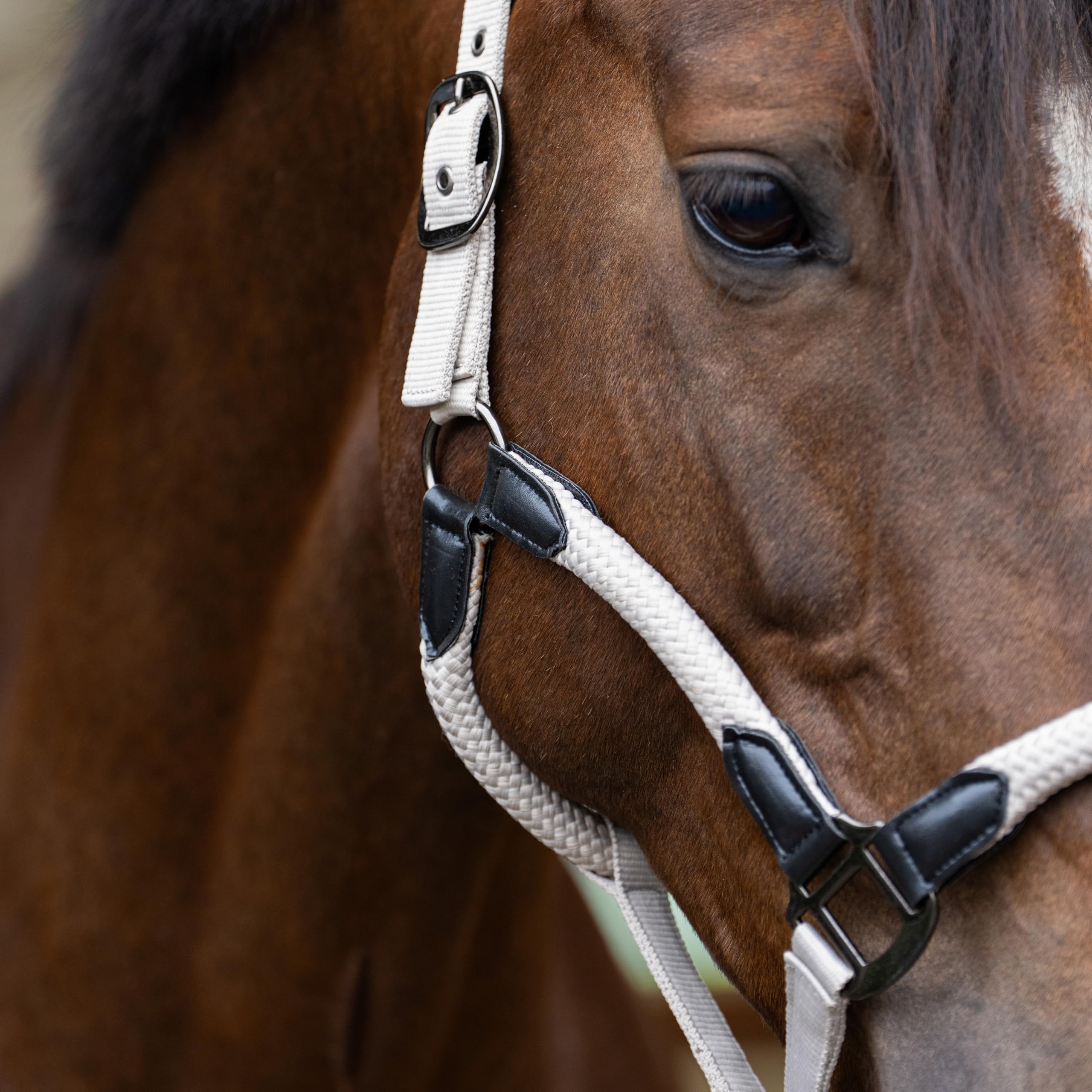 Imperial Riding Cavezza IRHLaura – Robusta Cavezza in Nylon con Cinturino in Pelle PU & Eleganti raccordi in Metallo, Regolabile e Confortevole per l'uso Quotidiano in stalla, Grigio Sabbia, Pieno