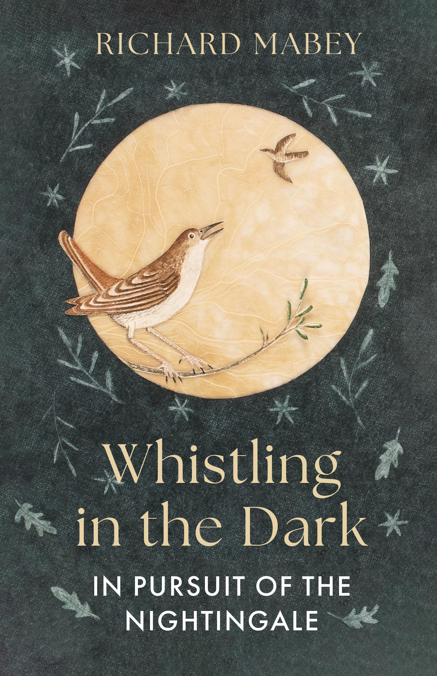 Whistling in the Dark.by Mabey, Mabey,  New 9781836005711 Fast Free Shipping.#.#