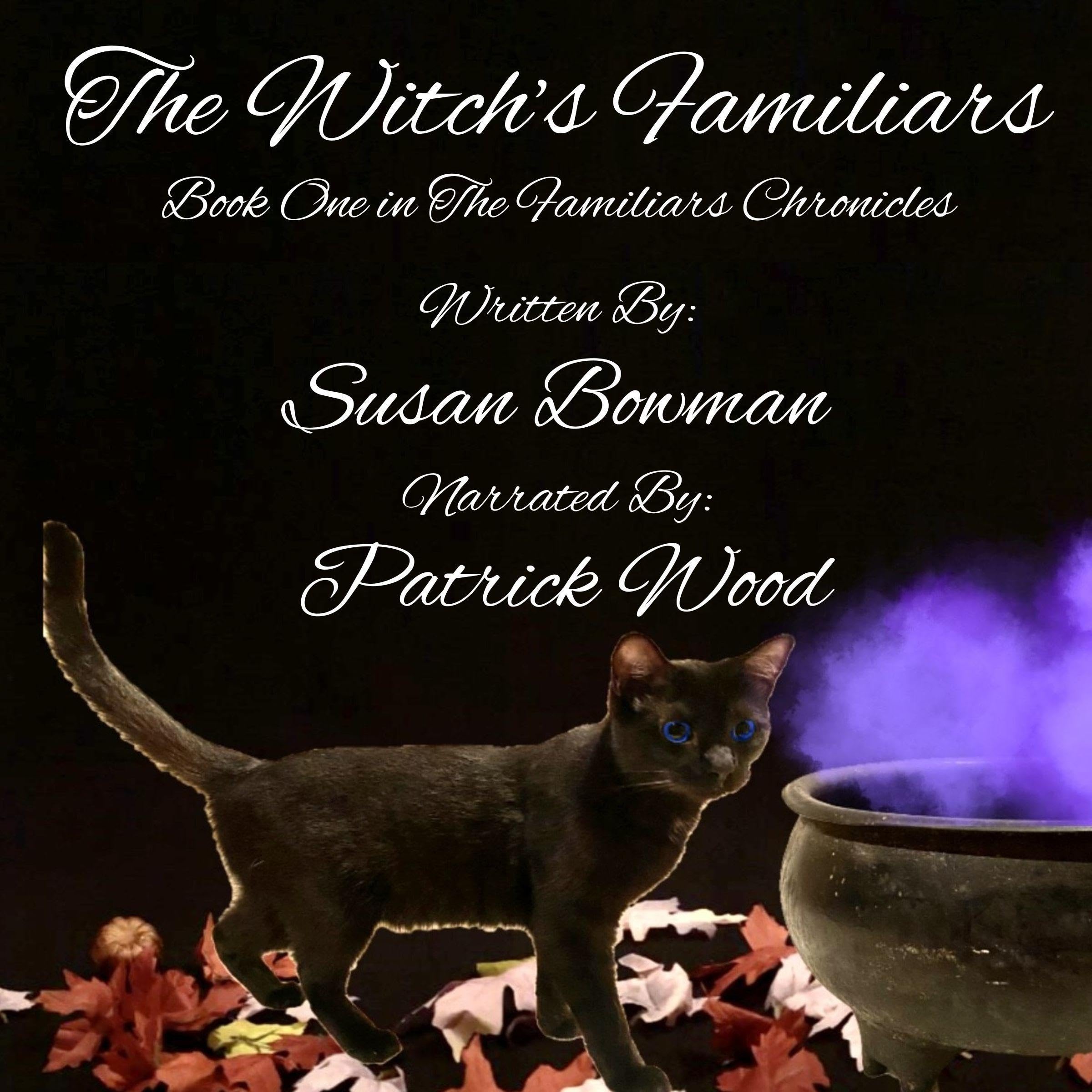 Cover art for The Witch's Familiars