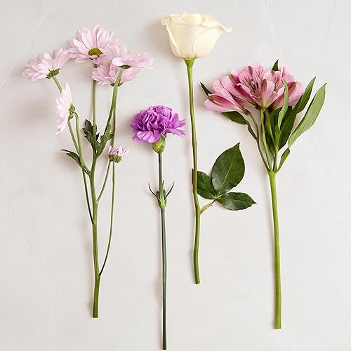 Miniatura 2 de 1800 Flowers  Ramo mixto de lavanda (solo bouquet)  Flores frescas para entrega  Regalo para aniversario, cumpleaños, felicitaciones, mejorarse,