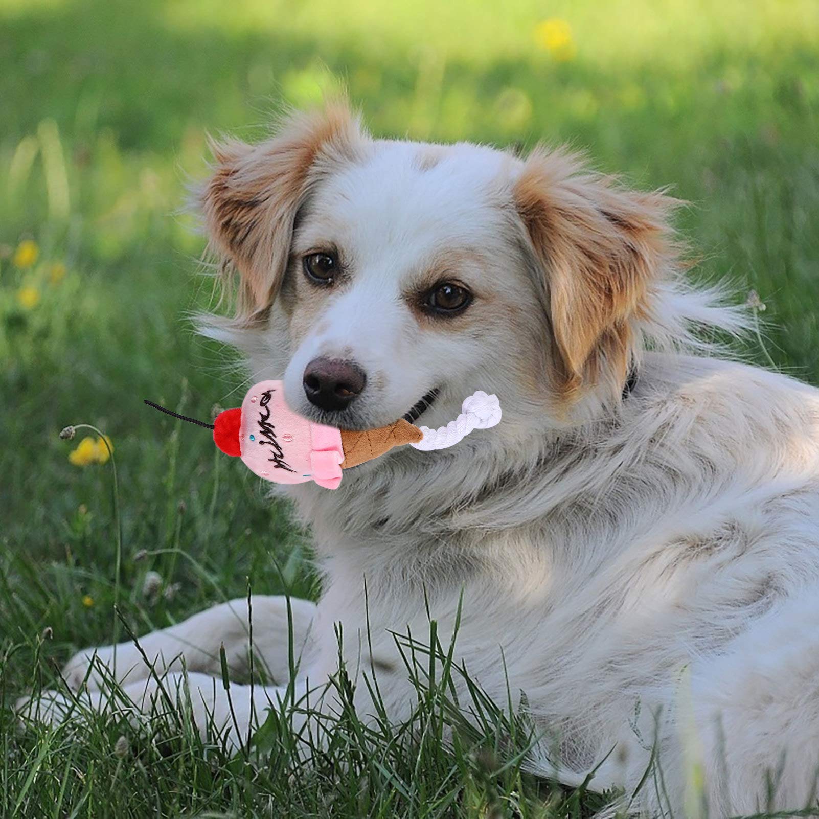 Mipcase 9stücke Teiliges Set Weichen Plüschspielzeugen Für Hunde Und Katzen Imitation Von Lebensmitteln Burger Hähnchen Eiscreme Mit Quietschfunktion Für Interaktive Spiele Und