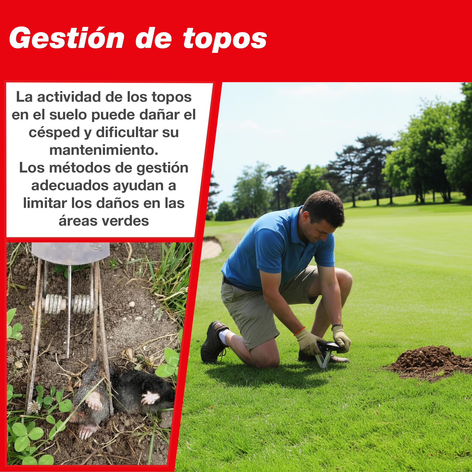 SWISSINNO SuperCat Trampa para Topos – Trampa Profesional de Alta Eficacia con Activación en Ambos Sentidos – Reutilizable y Segura – Control de Topos para Jardín