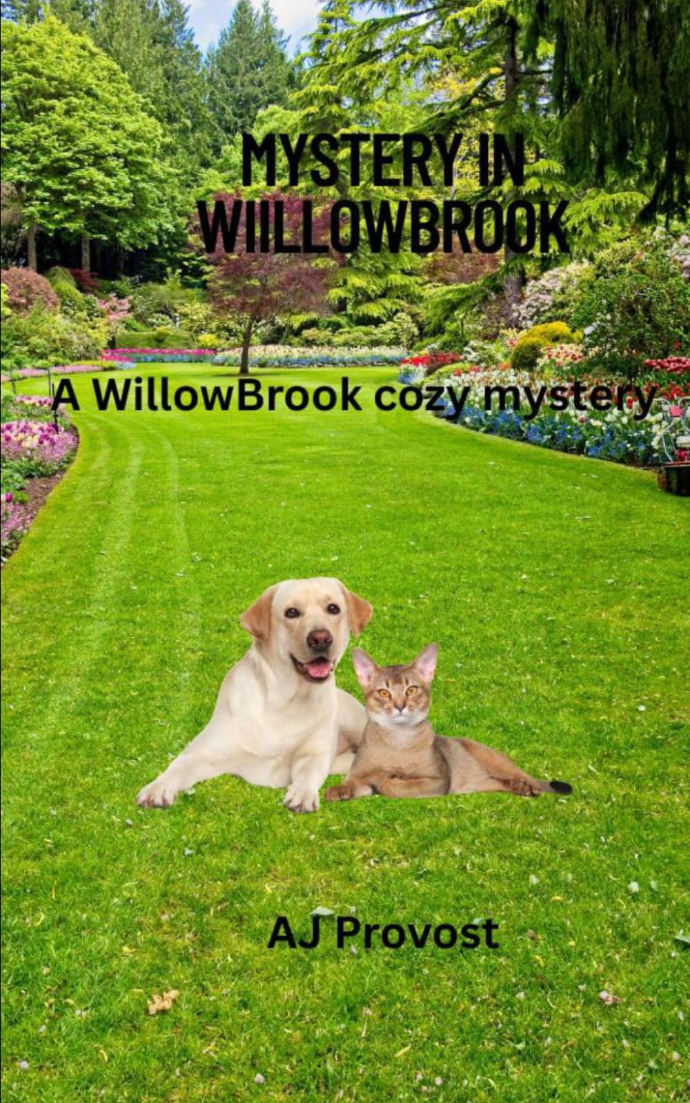 Mystery in WillowBrook: WillowBrook Cozy mystery