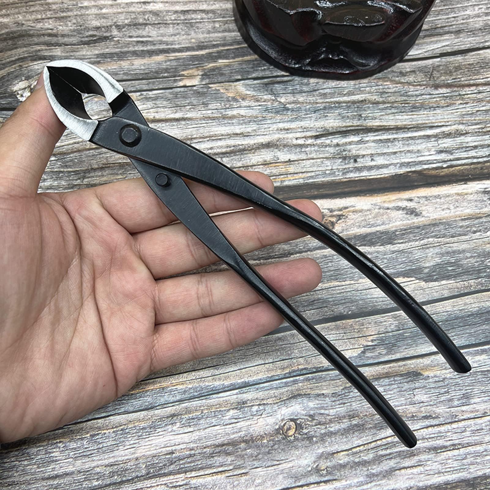 5 Pièces Ensemble D'Outils de Bonsaï, Ensemble D'Outils de Jardinage Succulents en Acier Au Carbone avec Poignée Ergonomique, Ciseaux À Bonsaï Professionnels Râteau Coupe Branches Sécateurs