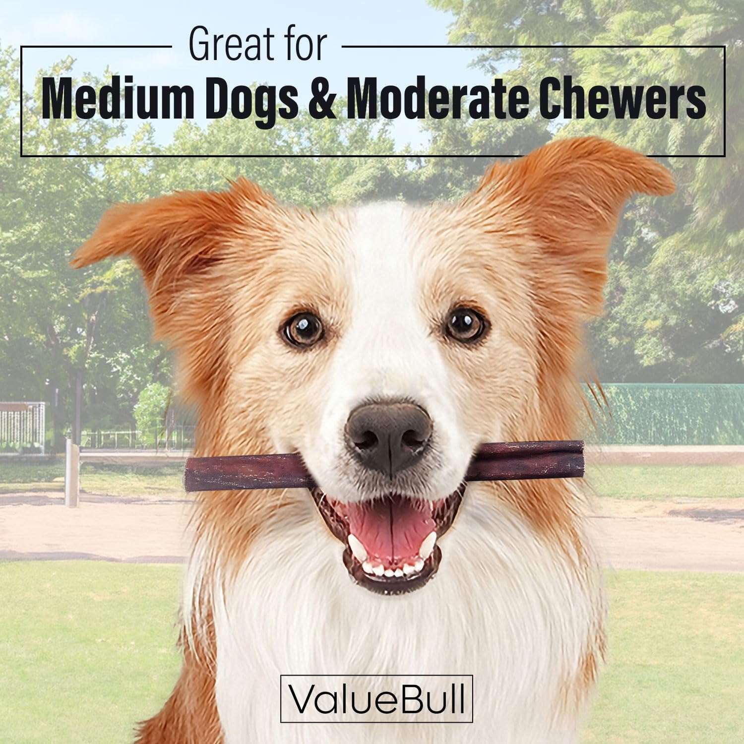 ValueBull Collagen Sticks for Dogs, 6 Inch Medium Chews, Natural Long-Lasting Dog Treats, 50 Count - Supports Joints, Skin & Coat with Chondroitin & Glucosamine