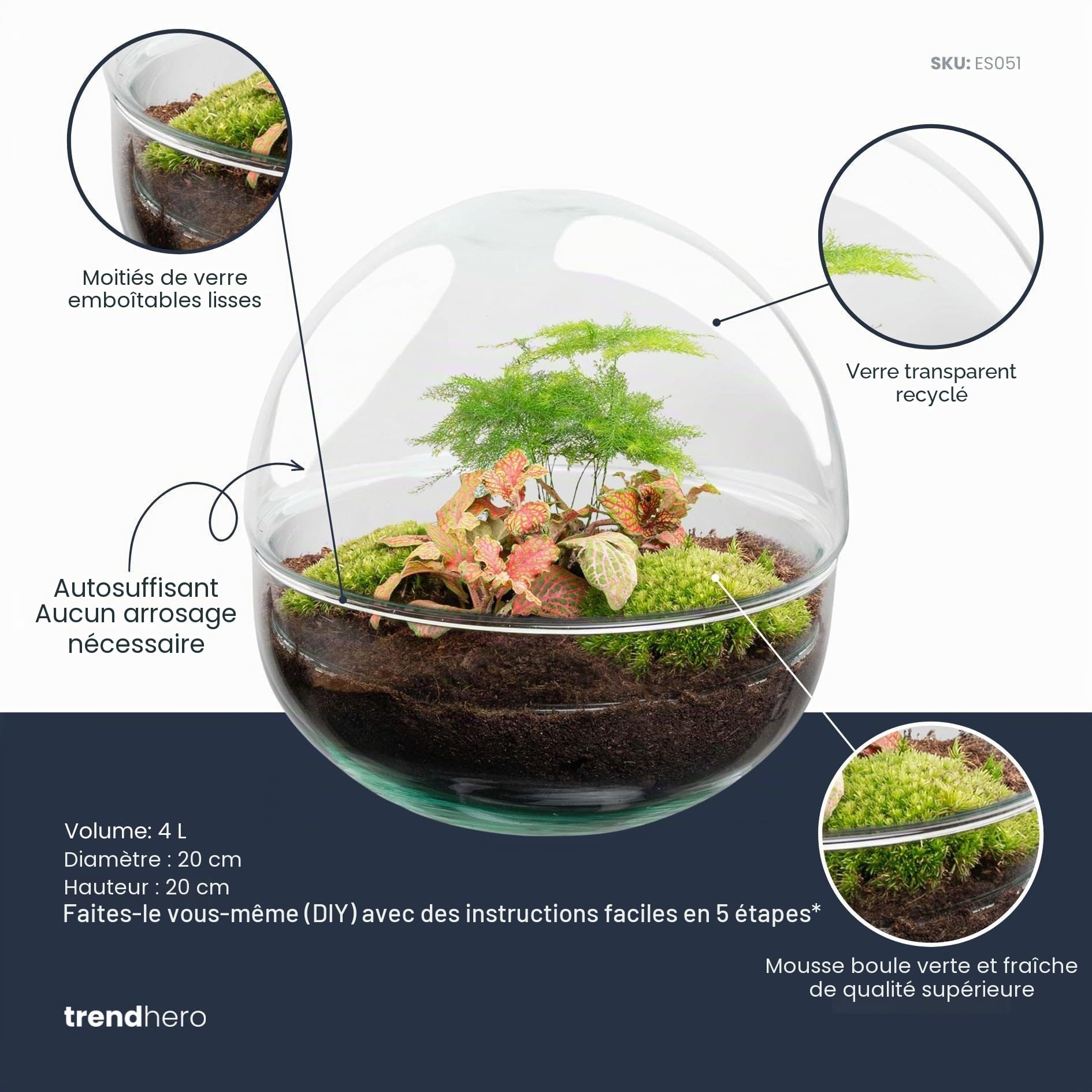 Kit DIY Terrarium • Dôme • Écosystème avec Plantes • ↑ 20 cm