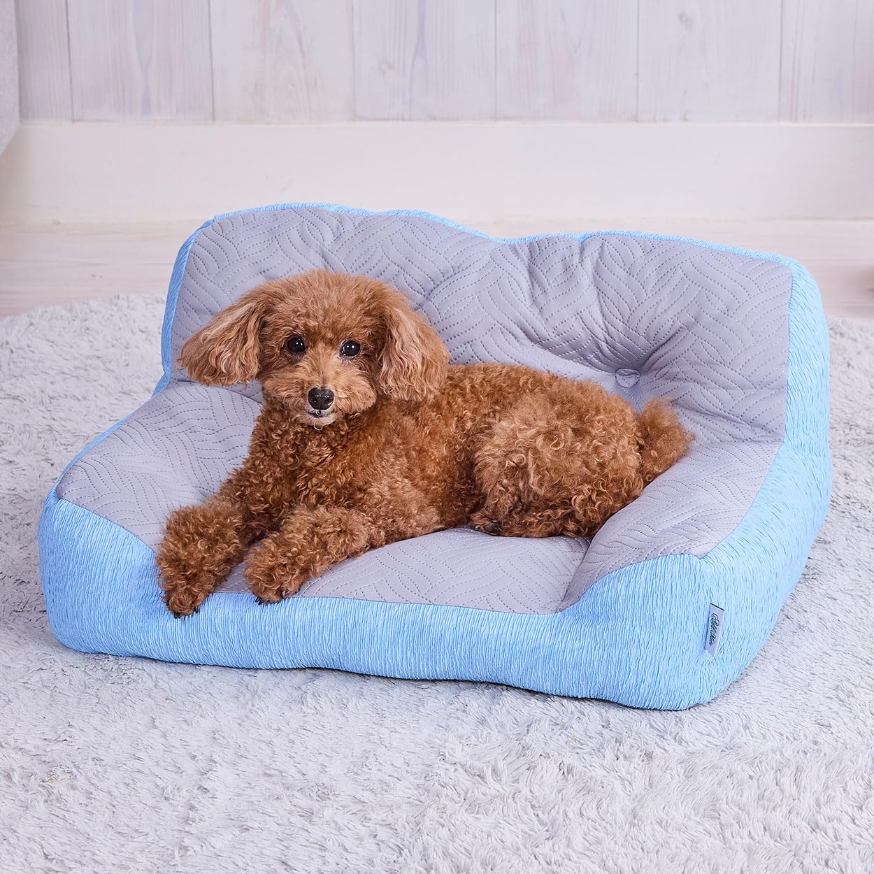 Amazon.co.jp: アドメイト (ADD. MATE) 犬猫用ベッド Cuna ひんやり