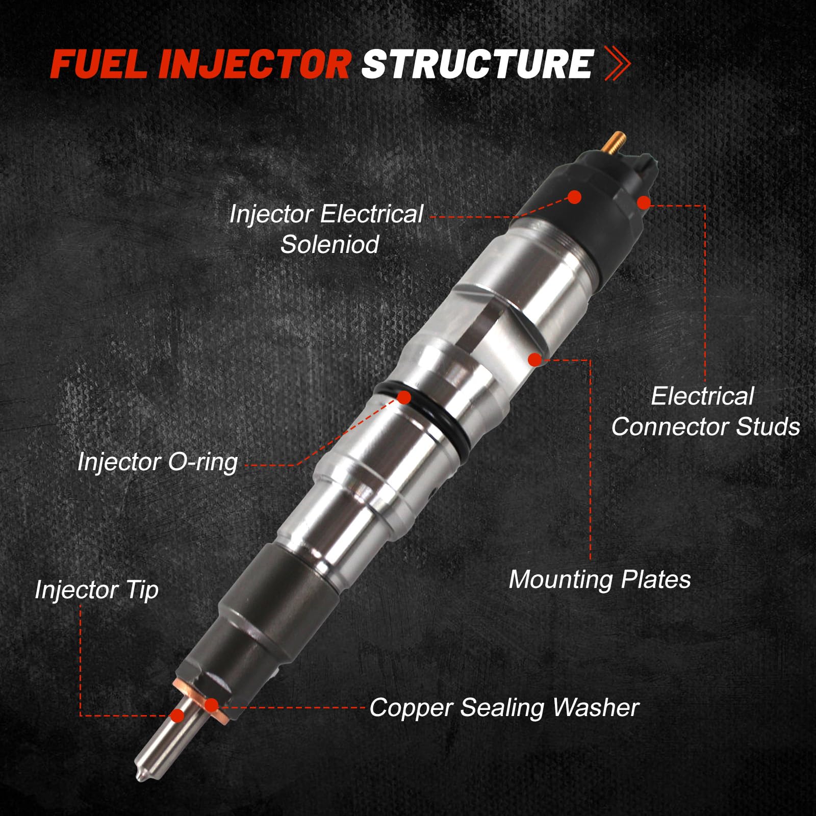 Amazon.com: 0445120295 400903-00036 40090300036 Common Rail