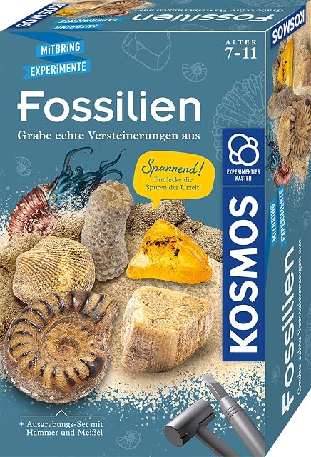 Fossilien: Experimentierkasten