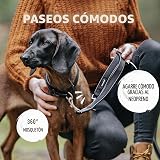 Ver la foto 5