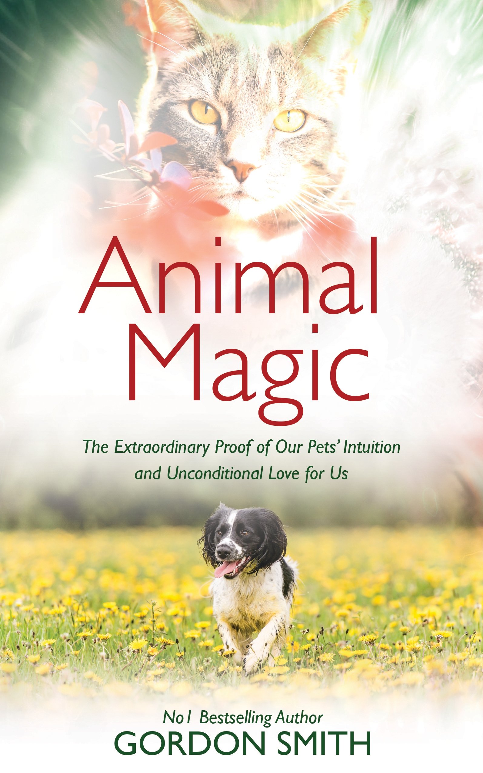 Animal Magic by Gordon Smith - 9781788170635