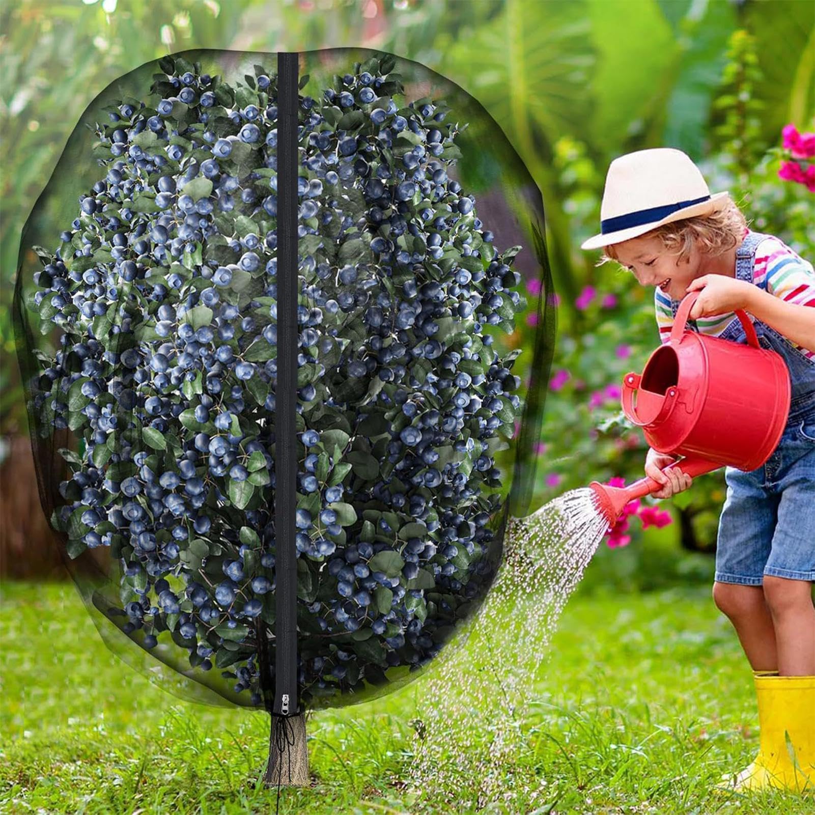 Rete per Alberi da Frutto Copertura a Maglie con Cordino di Chiusura e | Rete Antiuccelli da Giardino Per Giardino, Esterno, Cortile, Terrazzo, Balcone, Serra, Frutteto E Vigneto