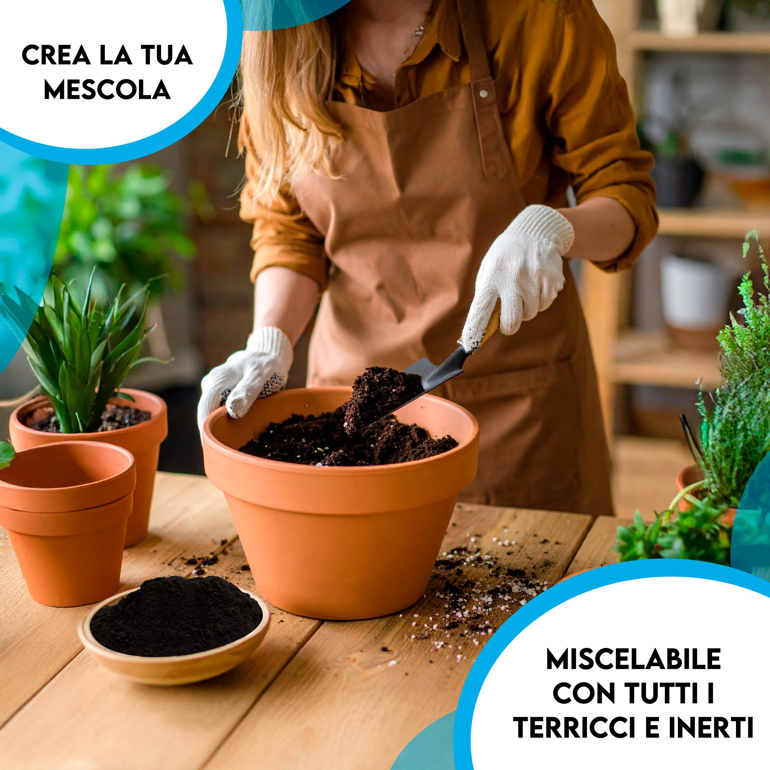 ZOMA Torba acida di sfagno nera Ph 4,5 qualità Superiore Sacco 35l, torba per piante estratta dalle torbiere baltiche, Ideale pura o in mescola con tutti i substrati - Made in Italy