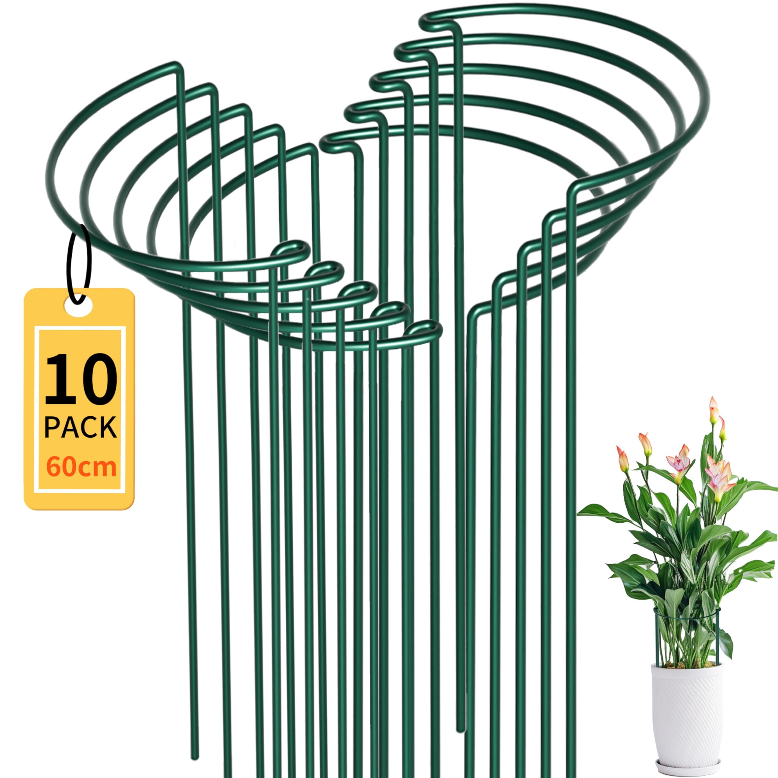 10 Stück Pflanzenstützen Staudenhalter Halbrund Groß 25x60cm,Robuste Metall Pflanzenhalter,Grün staudenstütze für Pflanzen, Hortensien, Pfingstrosen, Tomaten