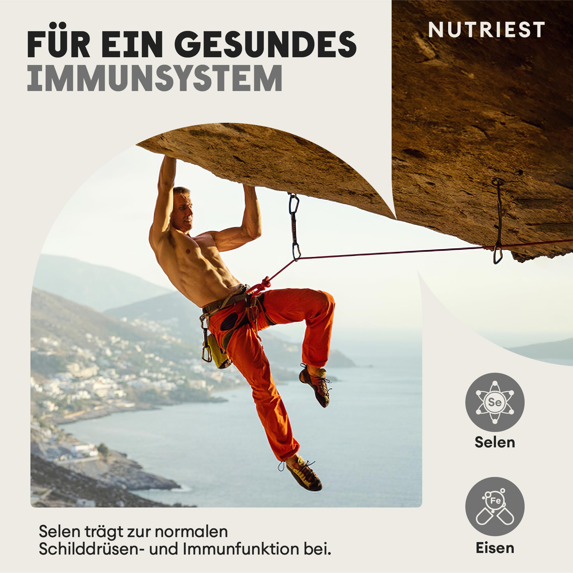 Nutriest Rinderniere Kapseln (240 Stück) – Natürliche DAO-Quelle | Bei Histaminintoleranz | Bio-Rind aus EU-Weidehaltung | Diaminoxidase (DAO) Enzym