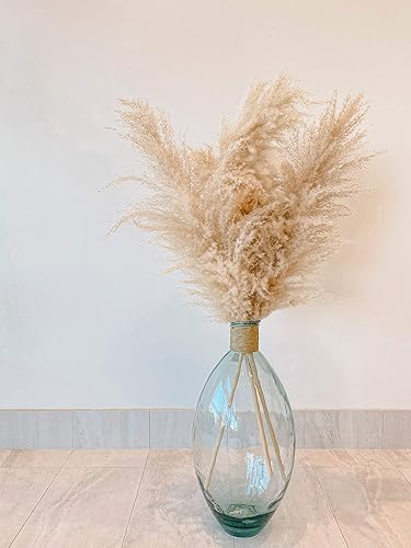 Pampas naturales y secas (3 piezas) para arreglo de flores y decoración de florero, bohemio, plume y tallo de lujo, decoración para el hogar, boda,