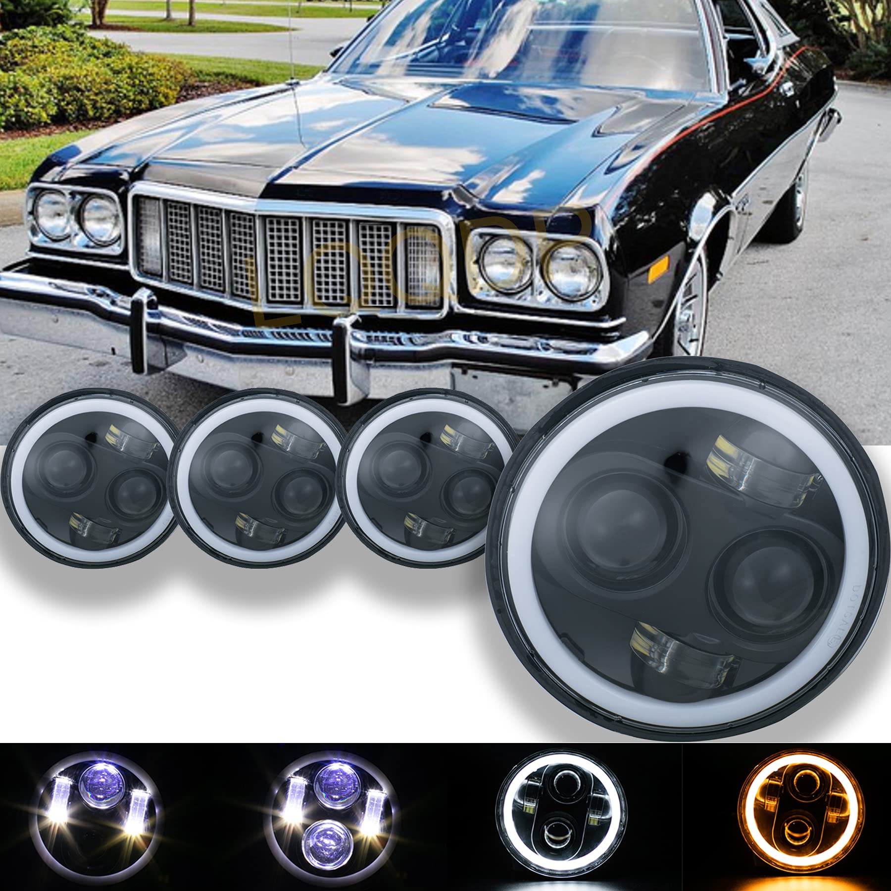 Buy LQQDP 4pcs 5.75" Inch Round Black Housing Clear Lens LED Halo Angel