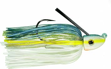 Strike King Tour Grade Swim Jigs Bait