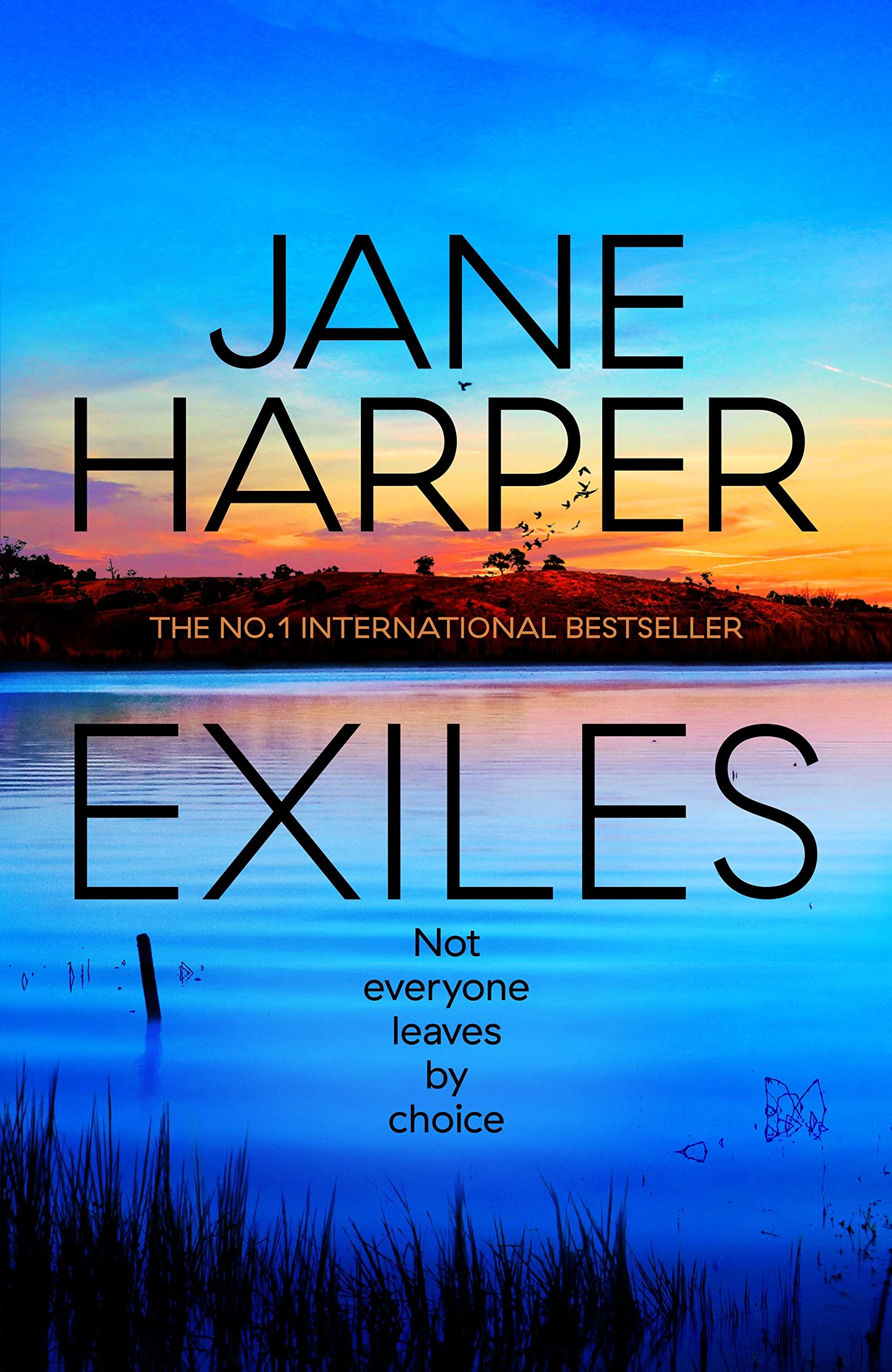 Exiles: The heart-pounding Aaron Falk thriller from the No. 1 bestselling author of The Dry and Force of Nature: 3