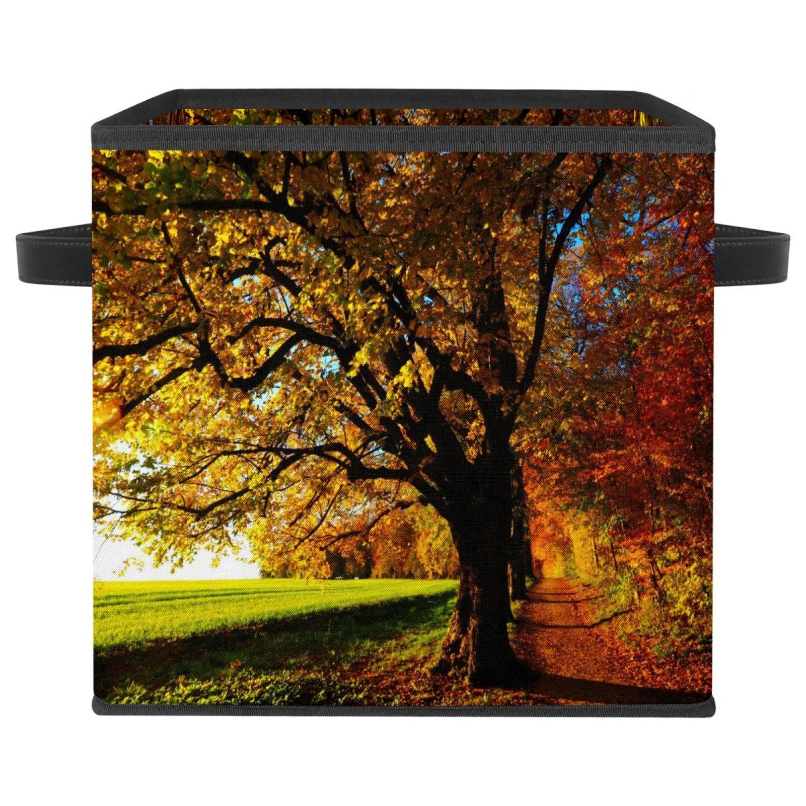 Boîte de rangement pliable pour ranger le placard encombré de la maison