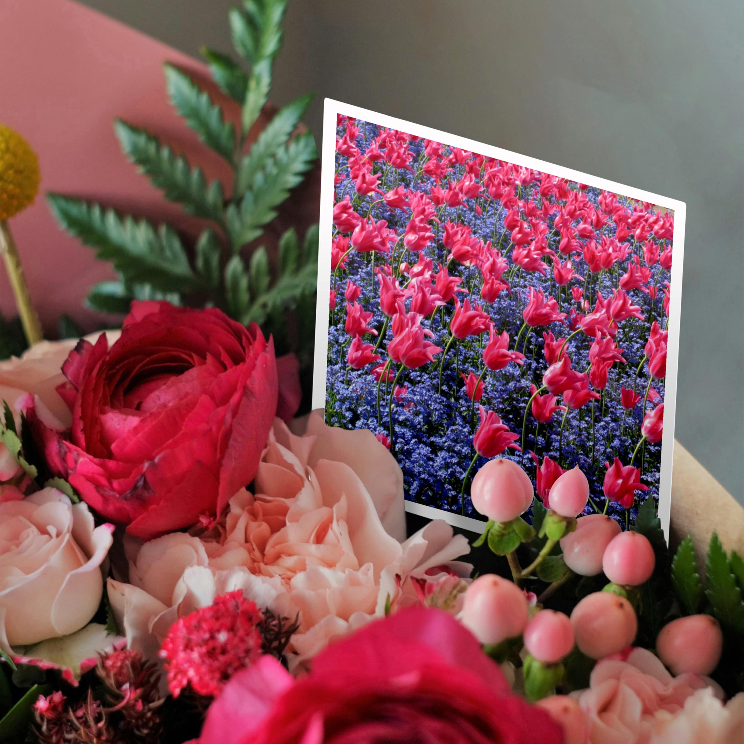 6er-Set Grußkarten Mit Rosa Tulpen-Muster – 15,2 X 15,2 Cm, Inkl. Weiße Umschläge, Leer Zum Selbstbeschriften