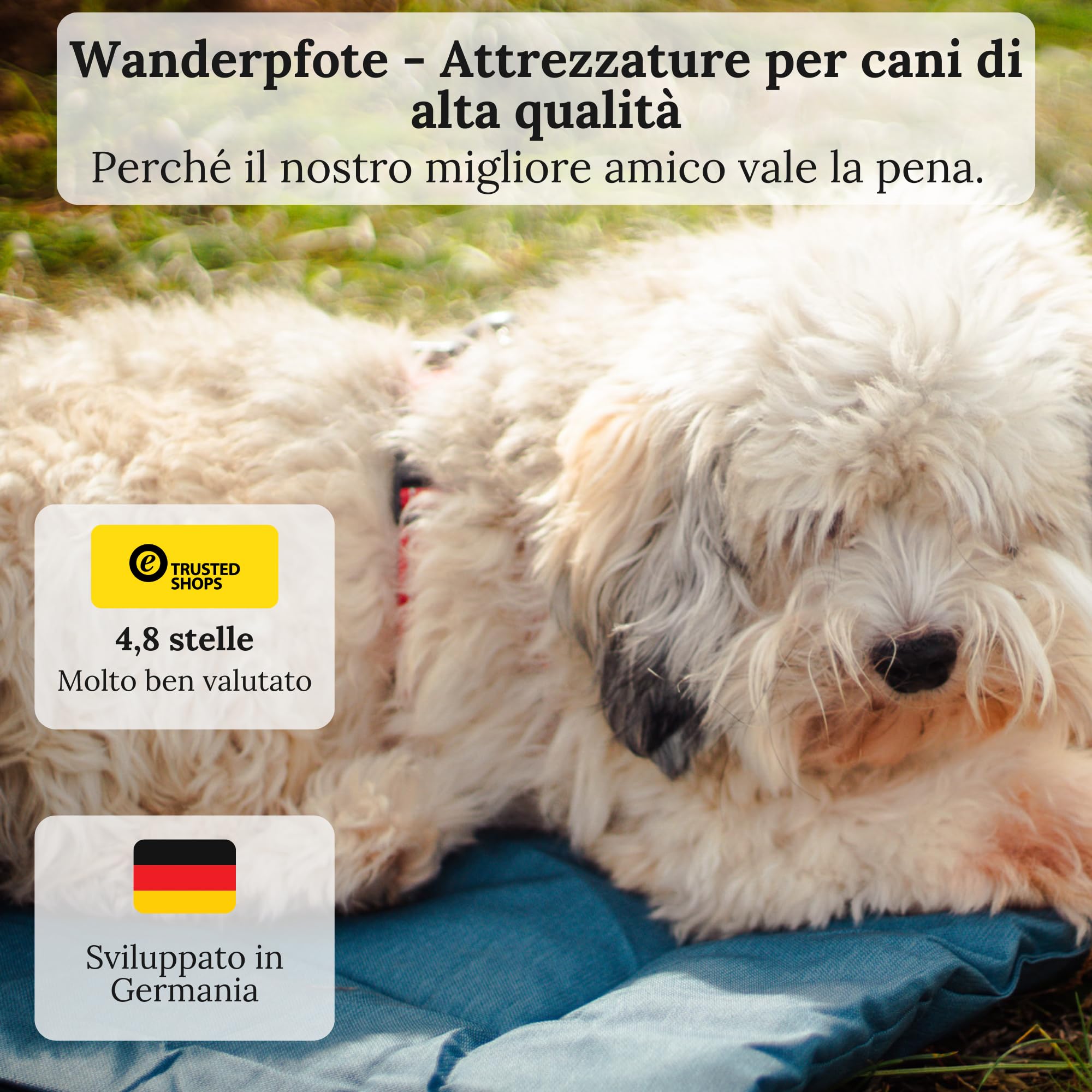 Tappetino per cani da viaggio, arrotolabile (Marrone, M)