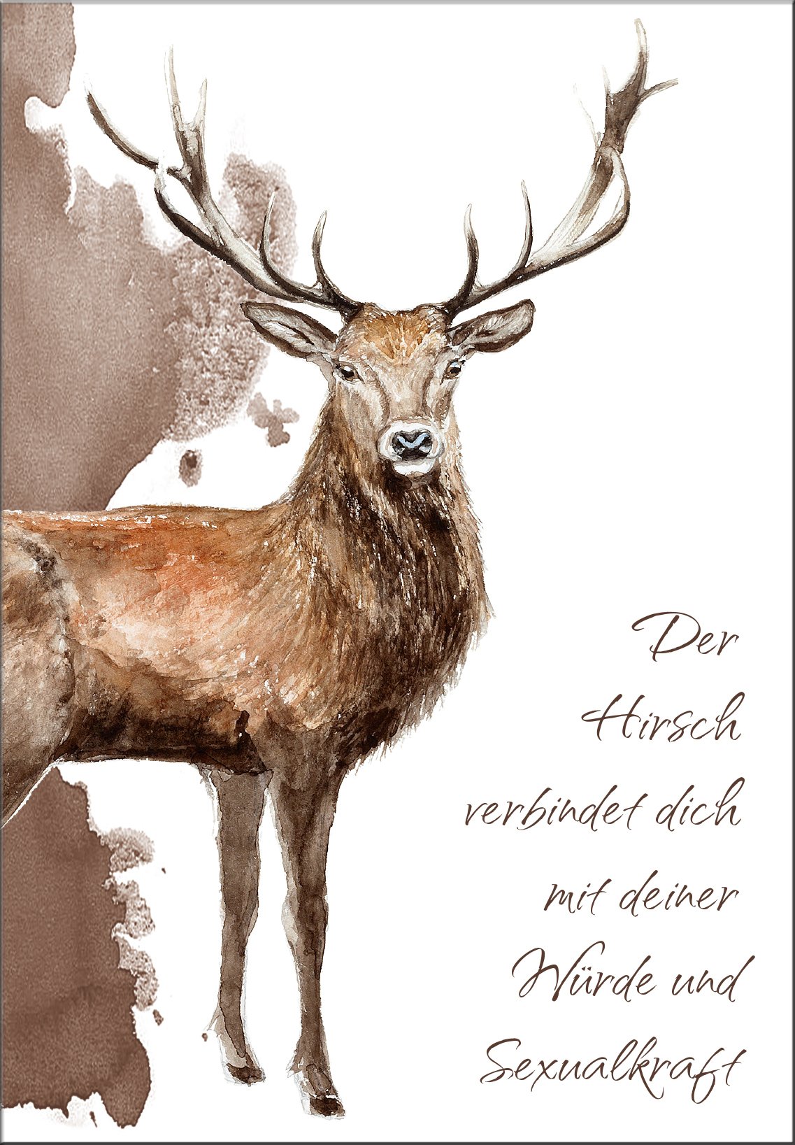 Krafttiere und ihre seelischen Botschaften (Set mit Booklet und Krafttierkarten / Krafttier Orakel): Set mit Booklet und Karten