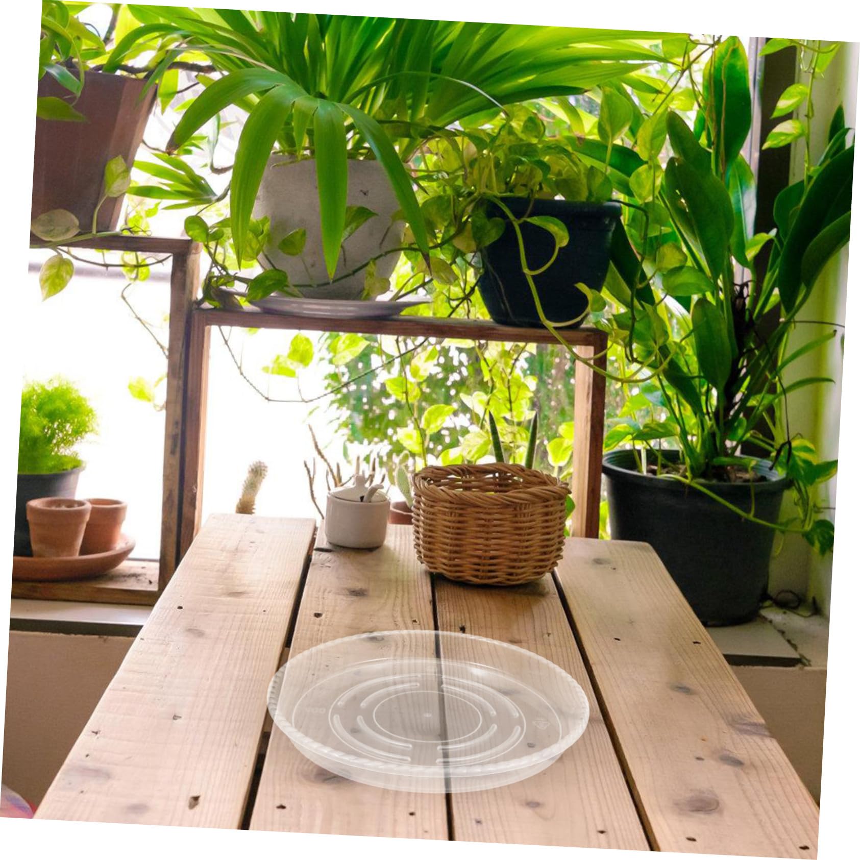 SHINEOFI Transparent Multifunktional 4 Stück mit Wasserauffangfunktion Runde Untersetzer aus Kunststoff für Blumentöpfe für Pflanzen im Außen und Innenbereich