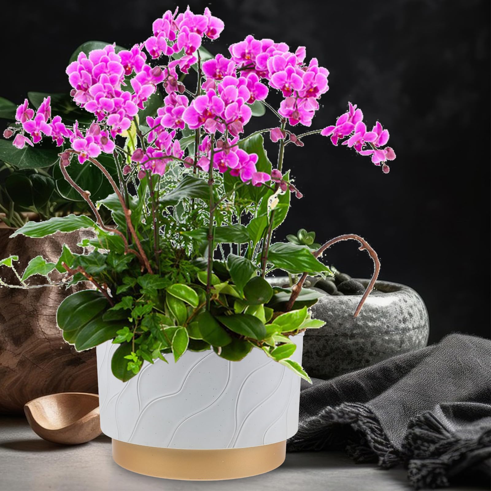 Doniczka na storczyki: Doniczka na sukulenty, doniczki ogrodowe, wazon na kwiaty, do Phalaenopsis, zieleń wewnętrzna, na zewnątrz, do wewnątrz, na balkon
