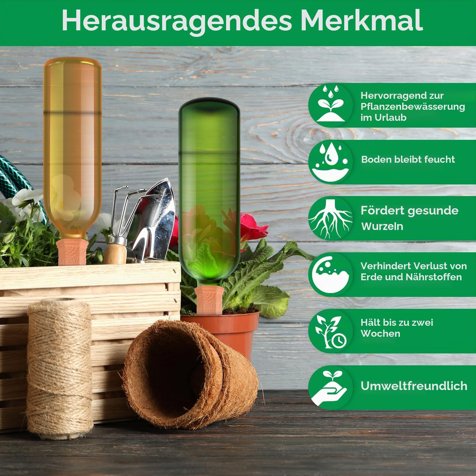 MOYKSRR 8 Stück Tonkegel Bewässerung im Set, Selbstbewässernde Pflanzenbewässerung, Pflanzen Wasserspender Ton, Pflanzen Bewässerungskugel Wasserspender Ton Automatische Bewässerung für Topfpflanzen