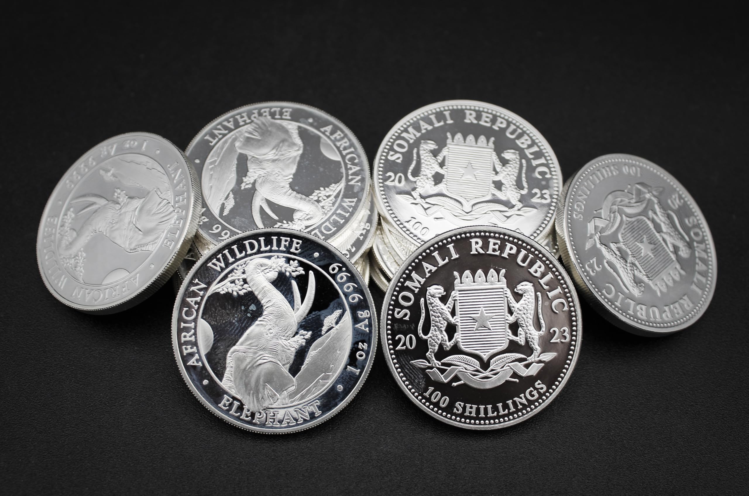 2023-1 oz Somalia African Wildlife Series: Silver Elephant Coin
