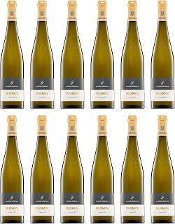 Schäfer-Fröhlich Bockenau FELSENECK Riesling Magnum GG trocken Weisswein Deutschland inkl. FeinWert E-Book (12 x 1.5 l)