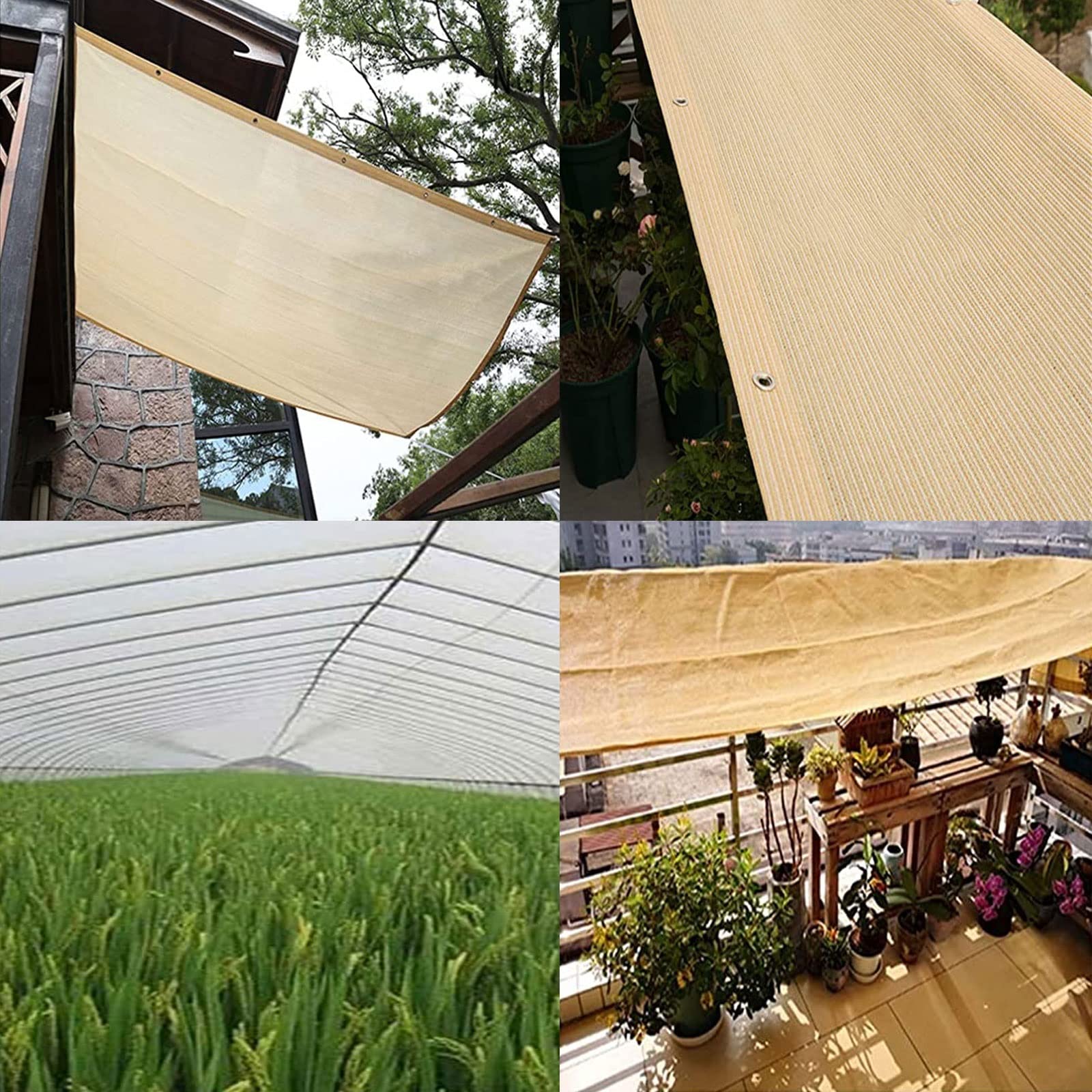 View 5