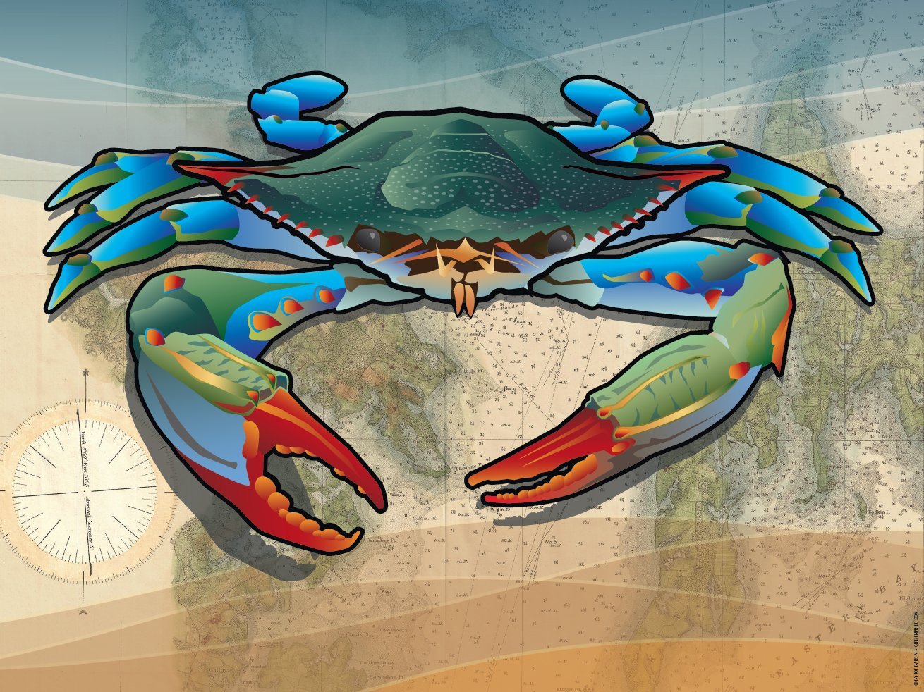 Blue Crab Art Print by Joe Barsin, 16x12