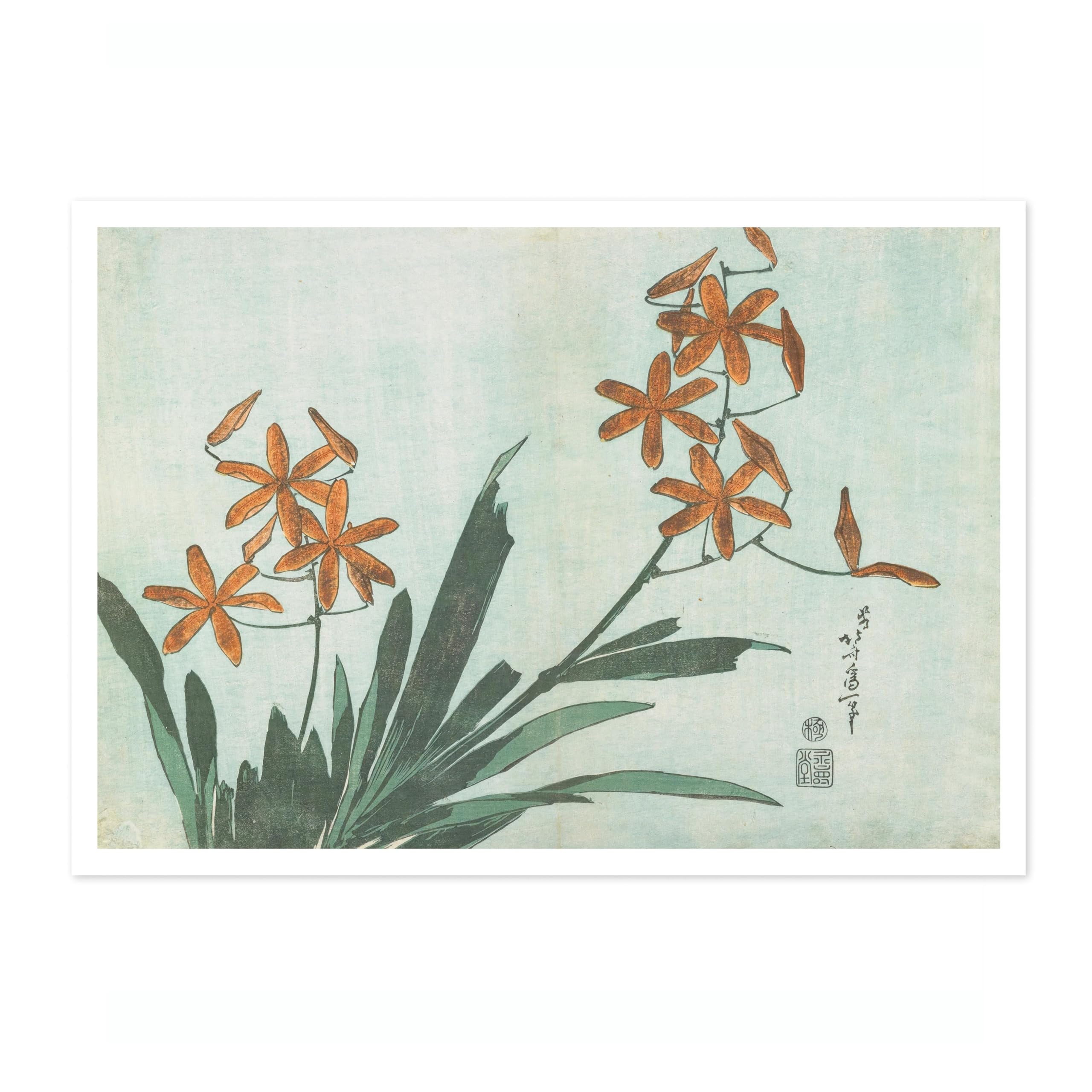 Animato Blackberry Lily Katsushika Hokusai Poster, Japanese Woodblock Ukiyo-E Print, Vintage Art Picture Painting Wall Art Exhibition, Archival Matte, A1 (Print Only) - 84.1x59.4cm