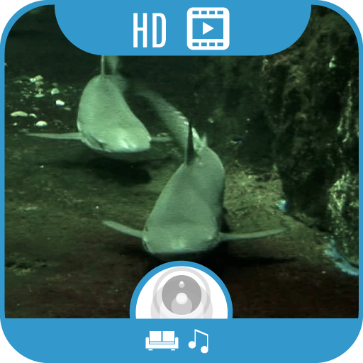 Shark Aquarium [+1h Music]