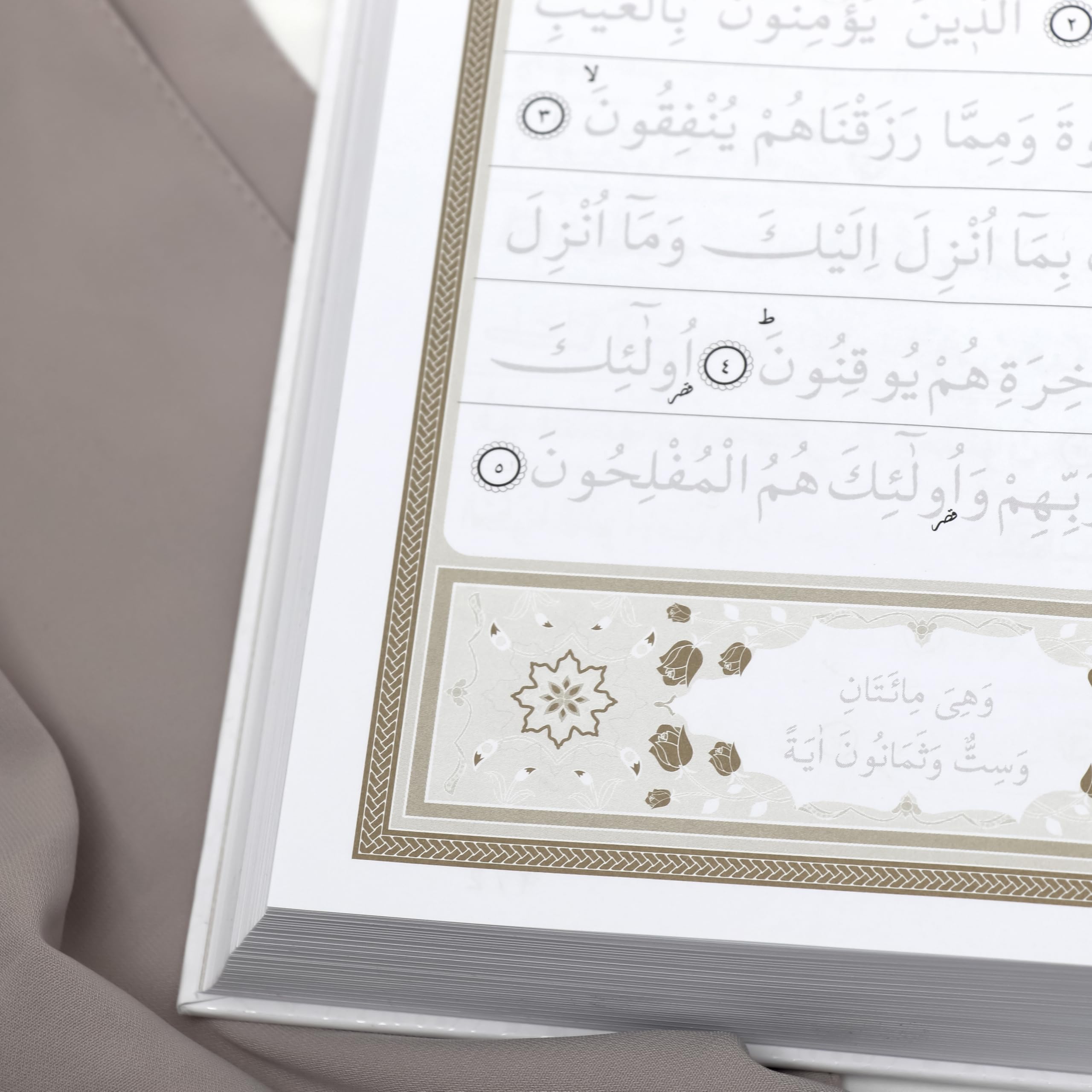 Amazon.com : FURKAN Arabic Trace Quran, Hafs Riwaya, Naskh