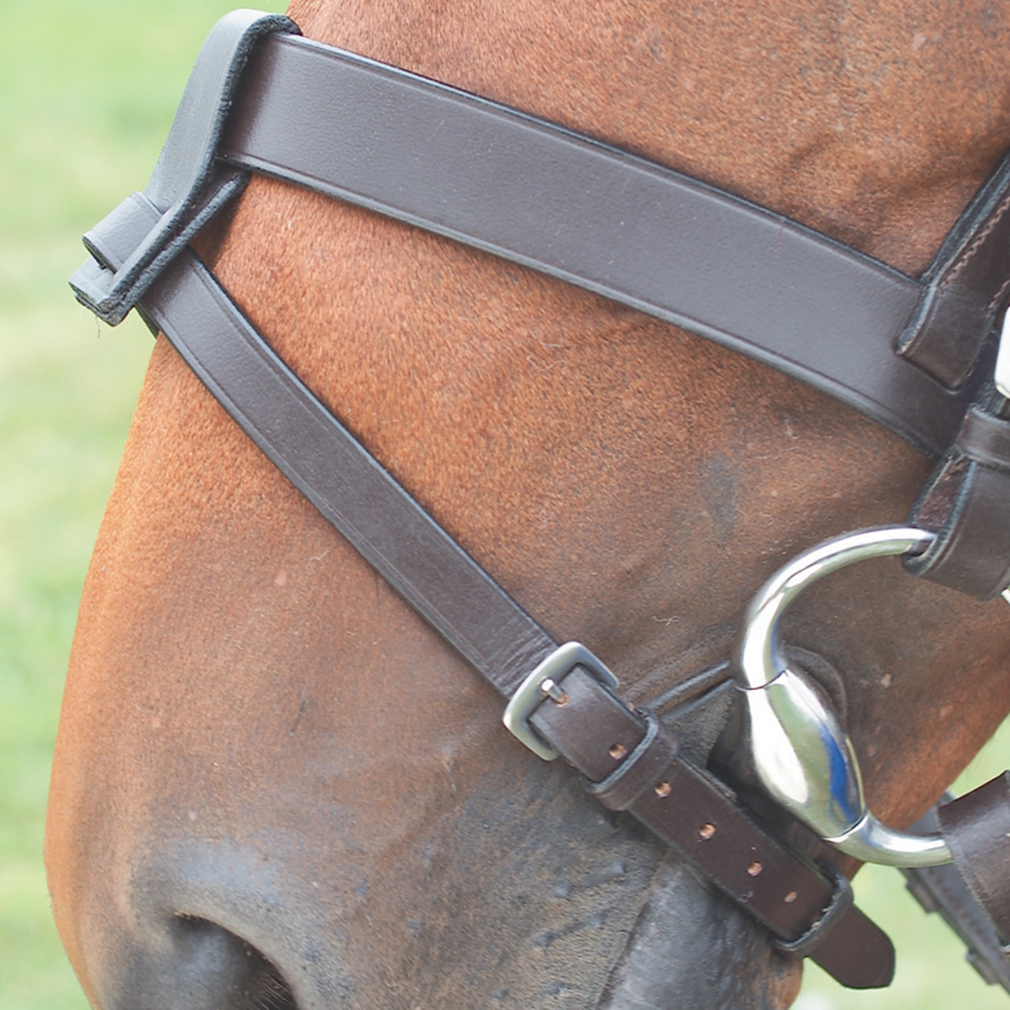 Shires Velociti GARA Flash Attachment