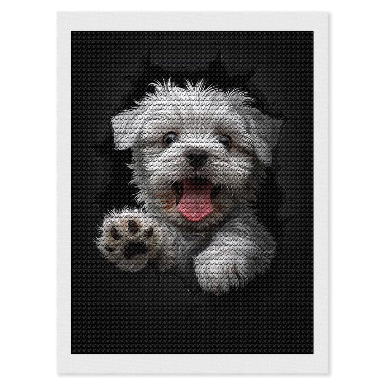 Junmoney Maltese(2) Diamond Painting Kit 12"x16", Festive Craft Gift, Bedroom Decor, Full Kit Included, Creative Gift Idea