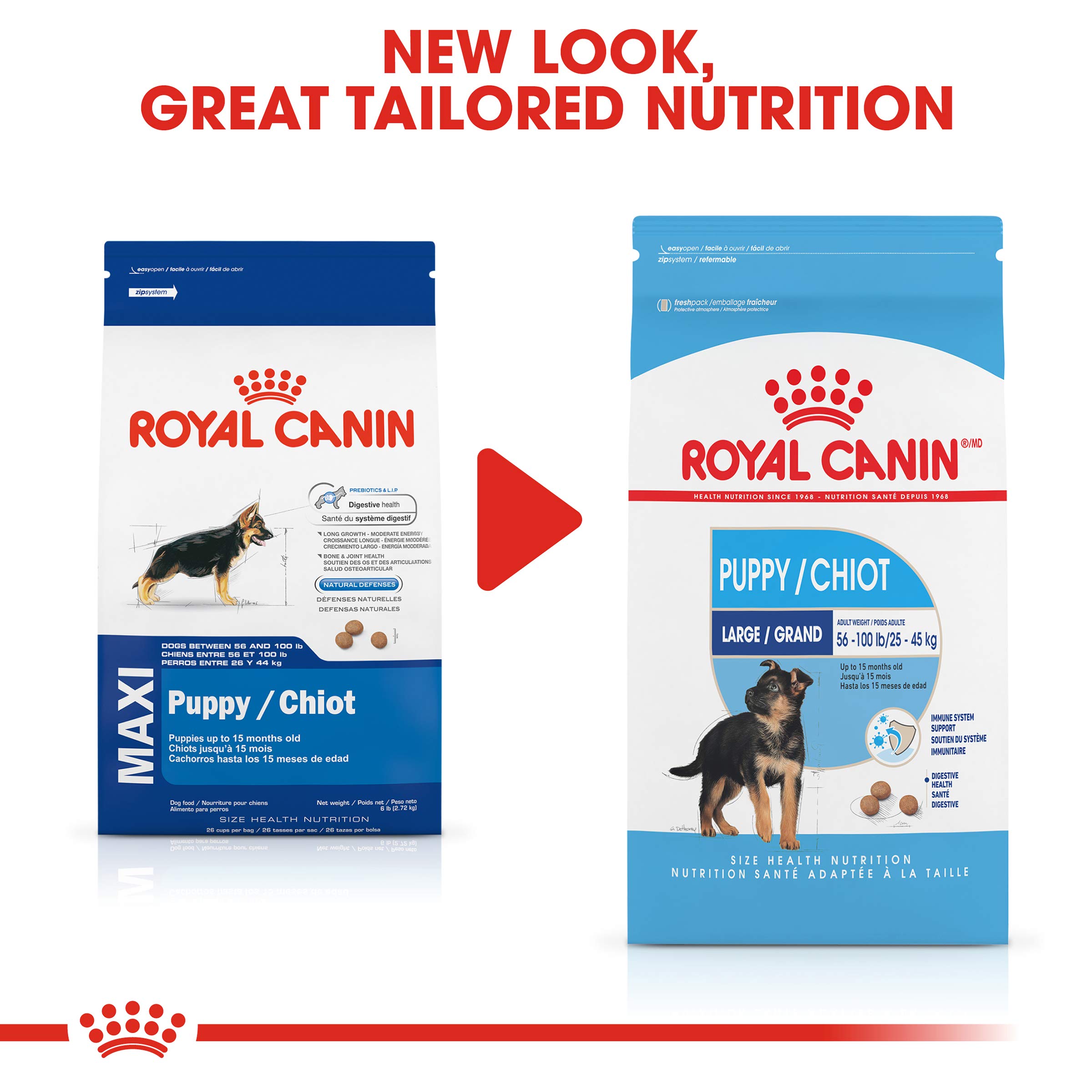 Royal Canin Size Health Nutrition Large Puppy Dry Dog Food Buy Online