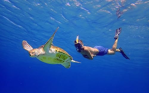 Vista 5 de OCEAN REEF - Aria QR + Máscara de esnórquel de liberación rápida - Máscara de esnórquel de cara completa - Visión submarina de 180 grados - 8 Negro