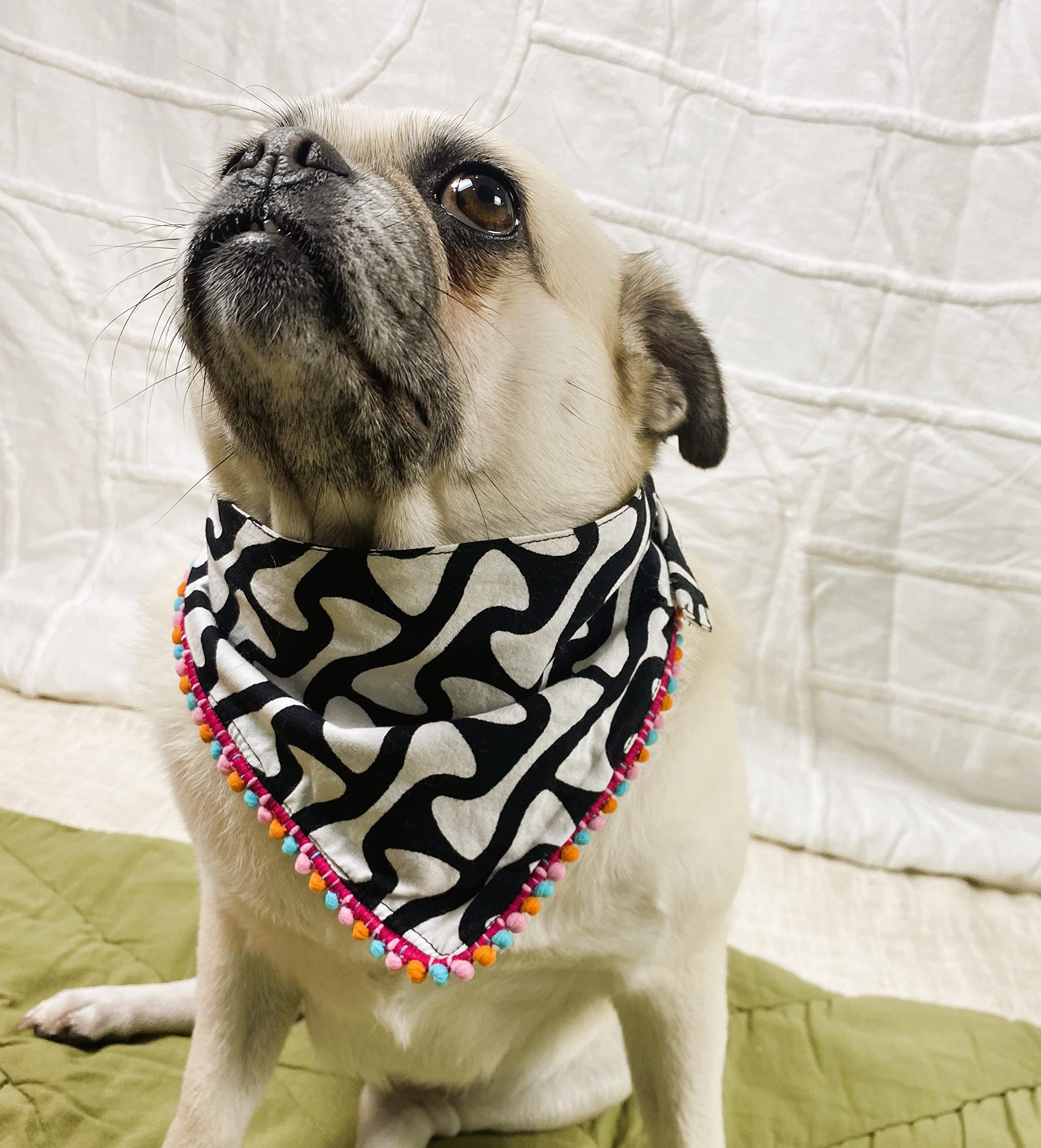 NUEVOS DOGGADIL Cotton Printed Pet|Bandana|Bib|Scarf for Dog and Cat_Black & White (XL, Black White)